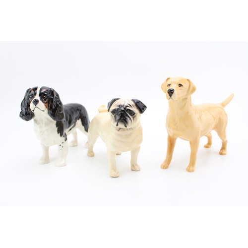 16 - Beswick large dogs to include a Labrador, a King Charles Spaniel and a Pug (3).