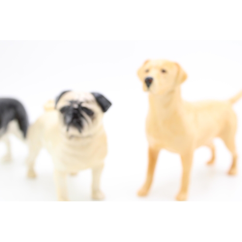 16 - Beswick large dogs to include a Labrador, a King Charles Spaniel and a Pug (3).