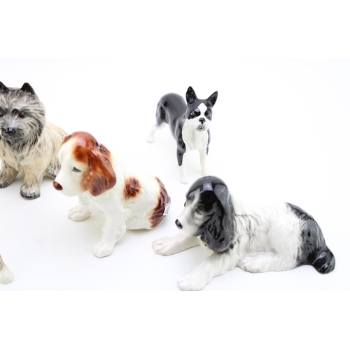 166 - A collection of ceramic dog figures to include Elite Pottery 'Greyhound', Sylvac 'Spaniels' and 'Cai... 