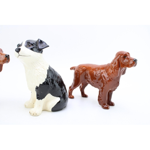 17 - Beswick dogs to include two spaniels and a Border Fine Arts Gpy Money Bank (3).