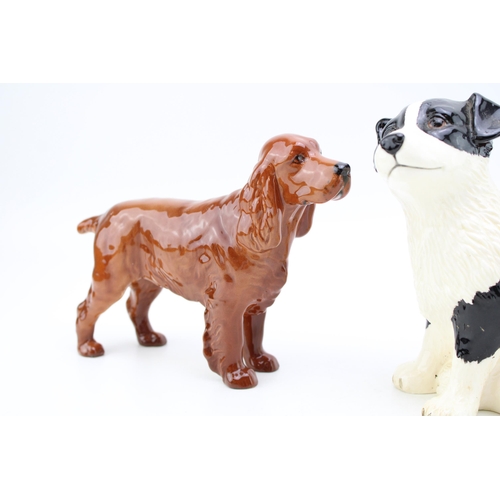 17 - Beswick dogs to include two spaniels and a Border Fine Arts Gpy Money Bank (3).