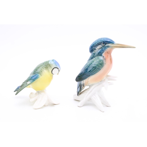 179 - Two Karl Ens birds to include a Kingfisher and one other (2).