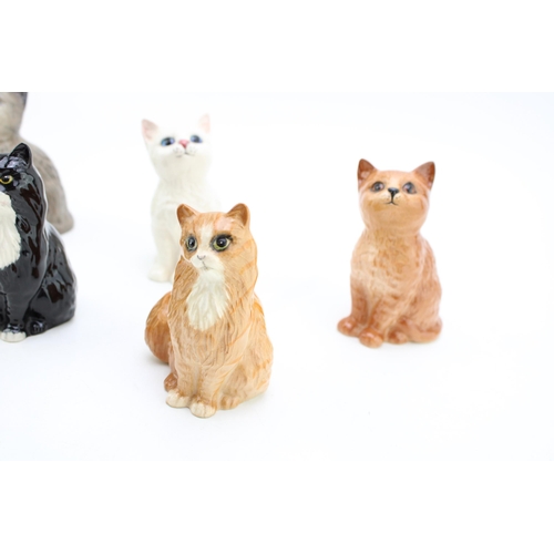 18 - A collection of Beswick cats to include two 1886 Persian Kittens and three others (5 - Doulton backs... 