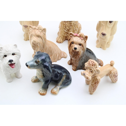 193 - A collection of Sylvac dogs to include a Westie, a Poodle and others, (8).