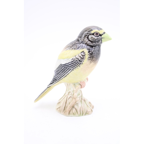 20 - Beswick Evening Grosbeak 2190.