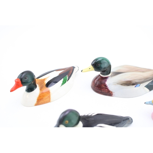 23 - Beswick Peter Scott ducks to include a Goldeneye, a Mallard, a Wigeon (beak af) and a Shelduck (4).