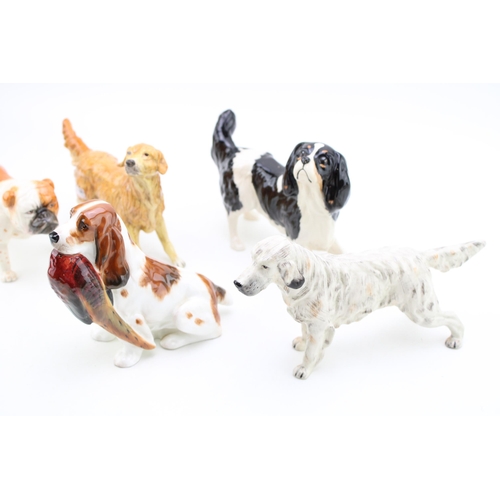 262 - A collection of Royal Doulton dogs to include 'English Setter', 'Bull Dog',  'Retriever', and two 'S... 