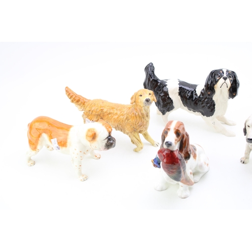 262 - A collection of Royal Doulton dogs to include 'English Setter', 'Bull Dog',  'Retriever', and two 'S... 