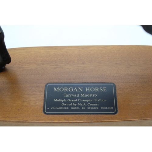 30 - Beswick Morgan Horse, a connoisseur model, on wooden base (seconds).