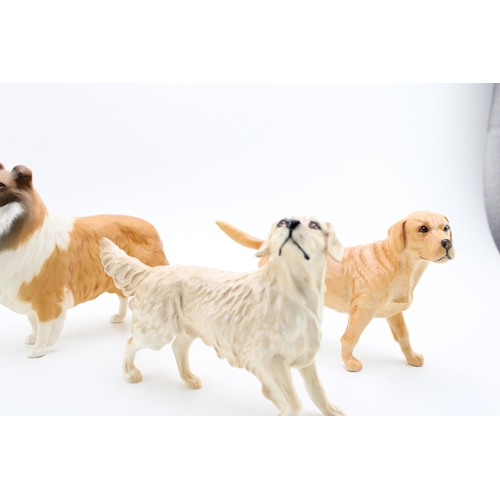 42 - Three Beswick large dogs to include a Labrador, a Golden Retriever and a Rough Collie (3).