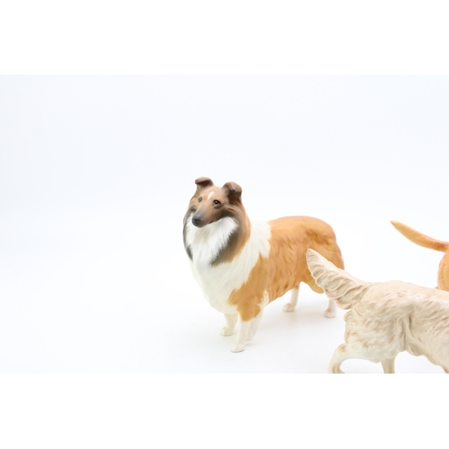 42 - Three Beswick large dogs to include a Labrador, a Golden Retriever and a Rough Collie (3).