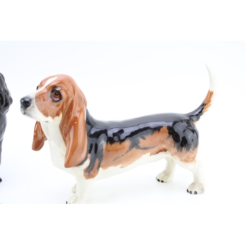 43 - Three Beswick large dogs to include a black poodle, a Bassett Hound and a Yorkshire Terrier lying (3... 