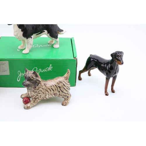 44 - Four Beswick large dogs to include a Corgi, a Doberman, a boxed King Charles Spaniel and a Terrier (... 