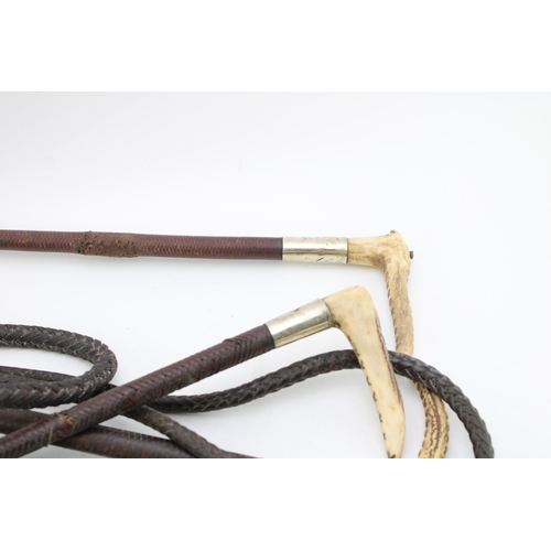 444 - A collection of stag antler handle riding crops with whips and silver collars to include an example ... 