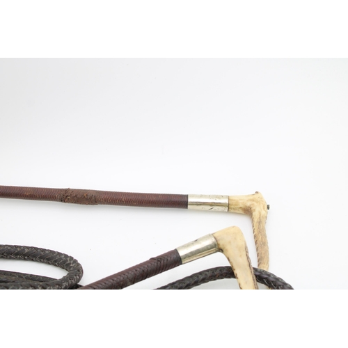 444 - A collection of stag antler handle riding crops with whips and silver collars to include an example ... 