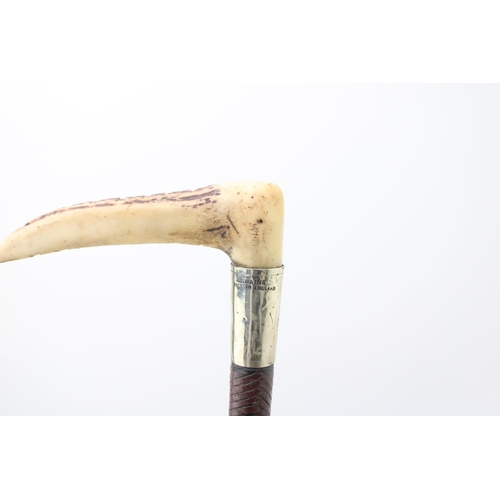 444 - A collection of stag antler handle riding crops with whips and silver collars to include an example ... 