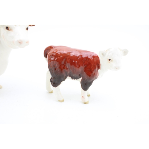 50 - Beswick Hereford Cow and a Hereford Calf (2).