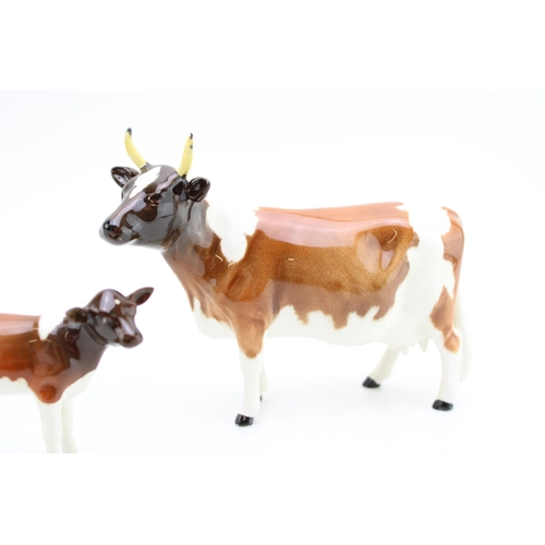 51 - Beswick Ayrshire cattle family to include Ayrshire Bull (restored right horn), Ayrshire Cow and an A... 