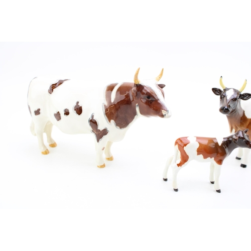 51 - Beswick Ayrshire cattle family to include Ayrshire Bull (restored right horn), Ayrshire Cow and an A... 