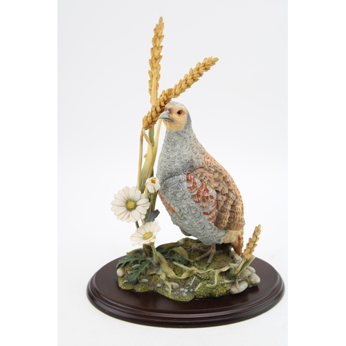 58 - A Country Artists Wild Grey Partridge with Wheat and Daisies on a wooden plinth. Height 28.5cm. Coll... 