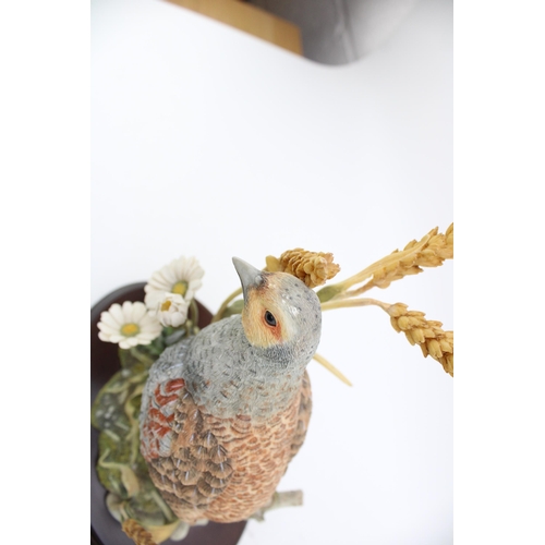 58 - A Country Artists Wild Grey Partridge with Wheat and Daisies on a wooden plinth. Height 28.5cm. Coll... 