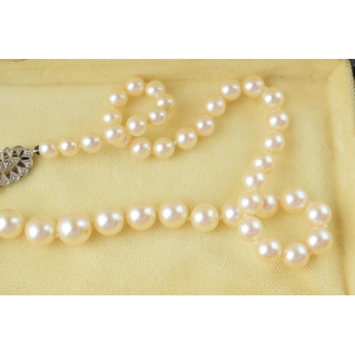 510 - A single row graduated cultured pearl necklace with 9ct white gold clasp, set rose-cut diamond, 54cm... 