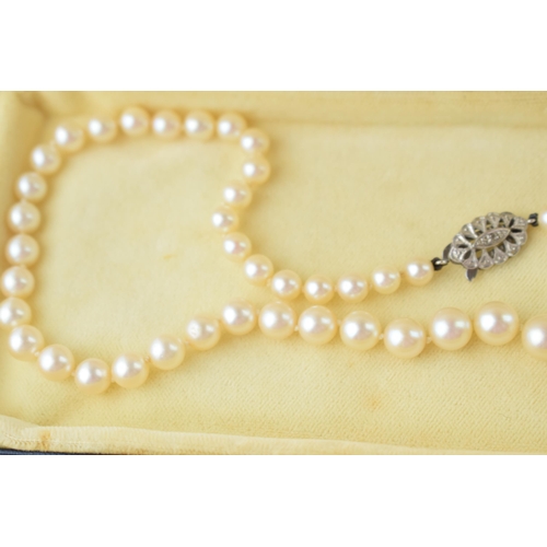 510 - A single row graduated cultured pearl necklace with 9ct white gold clasp, set rose-cut diamond, 54cm... 