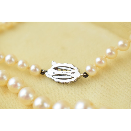 510 - A single row graduated cultured pearl necklace with 9ct white gold clasp, set rose-cut diamond, 54cm... 