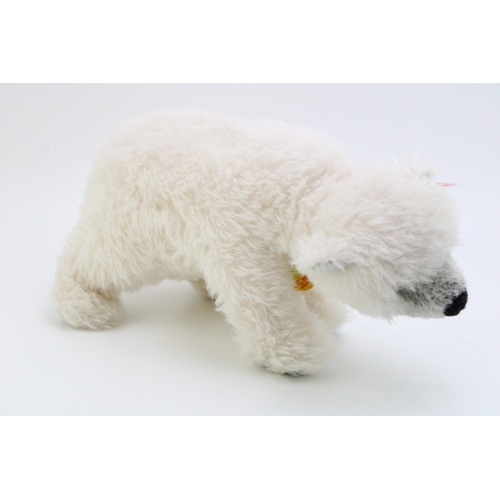 1130 - A Steiff Knut Masterpiece Polar Bear. 036996 / 02540. Height 18cm.