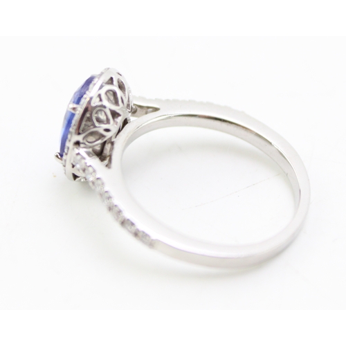 223 - A tanzanite and diamond halo platinum ring, the central tanzanite oval cut stone of approximately 9.... 