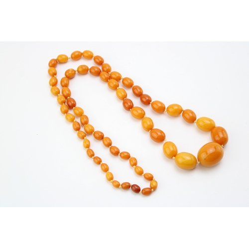 264 - A string of vintage graduated oval butterscotch amber beads, largest bead approximately 25.8mm, smal... 