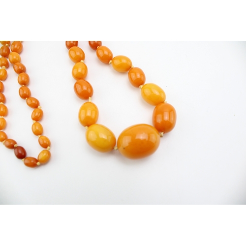 264 - A string of vintage graduated oval butterscotch amber beads, largest bead approximately 25.8mm, smal... 