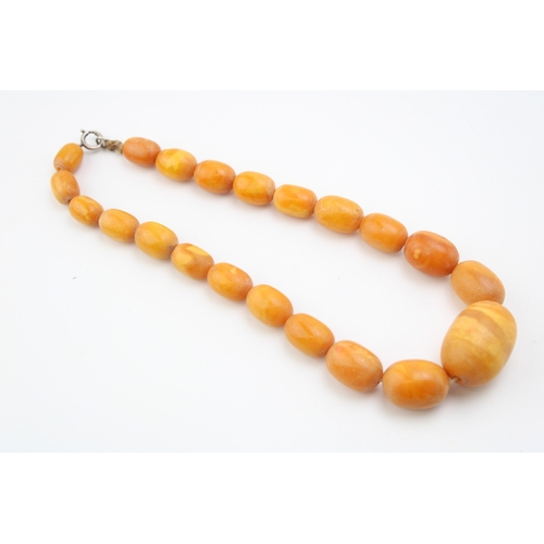 265 - A string of vintage butterscotch opaque amber beads, of graduated oval form, largest bead with disti... 