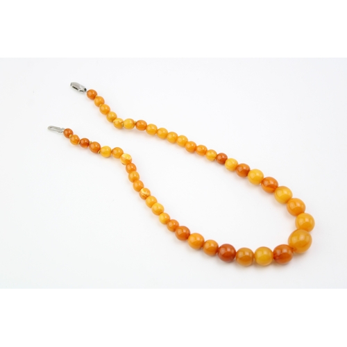 266 - A string of circular amber beads, the polished semi-opaque beads of graduated size from 7.1mm to 13.... 