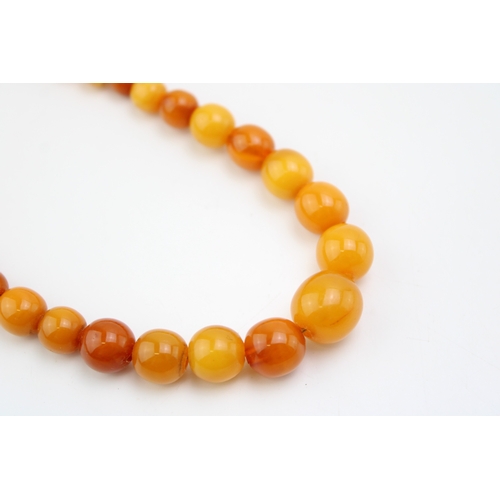 266 - A string of circular amber beads, the polished semi-opaque beads of graduated size from 7.1mm to 13.... 