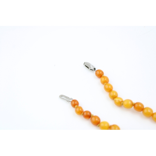 266 - A string of circular amber beads, the polished semi-opaque beads of graduated size from 7.1mm to 13.... 