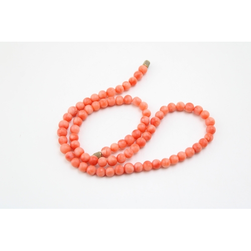 273 - A stting of deep blush angel skin coral of similarly sized circular beads each approximately 5 to 6m... 