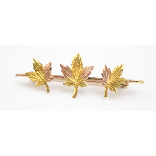 295 - A 10ct gold brooch in the form of three maple leaves with tri-tone textured decoration, 2.1g, 3.9cm ... 