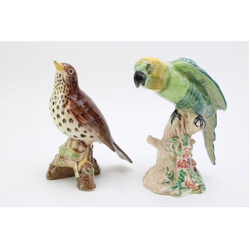 685 - Beswick birds to include a Parakeet 930 and a Thrush 2308 (2).