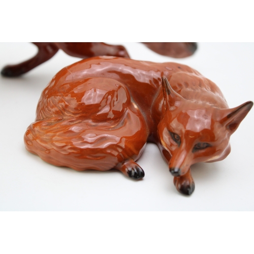 686 - Two Beswick foxes to include a curled fox 1017 and large standing fox with black tail (2).