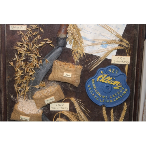 199 - A large framed agricultural & farming display related to oat, wheat and hop growing with related adv... 