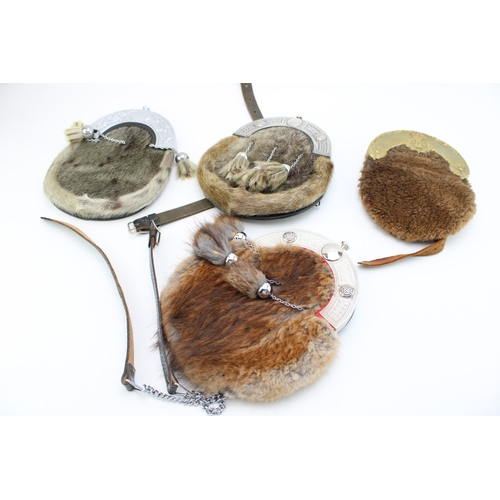 53 - A collection of quality c20th seal & rabbit skin tradition Scottish Highland dress kilt sporrans inc... 