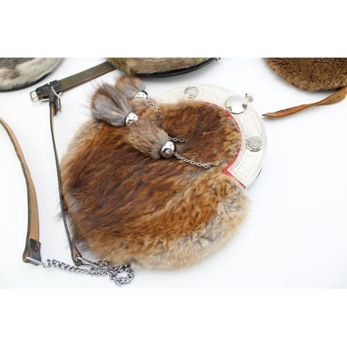 53 - A collection of quality c20th seal & rabbit skin tradition Scottish Highland dress kilt sporrans inc... 