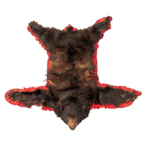 Mid c20th North American Black Bear (Ursus Americanus), Taxidermy Bearskin Rug with Head and Paws, mounted onto red felt, approximately 163cm long, 154cm wide.