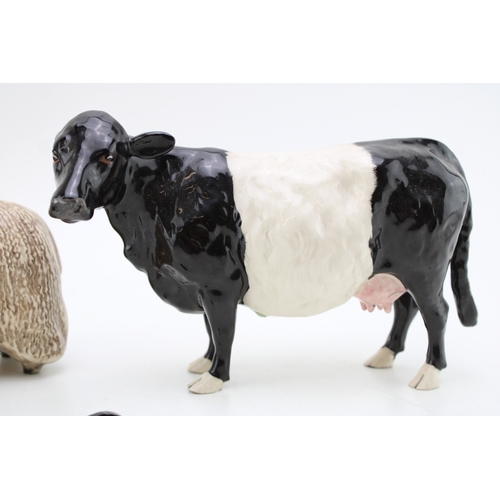 108 - Beswick Wensleydale Sheep with a Belted Galloway Cow (2 - ear af).