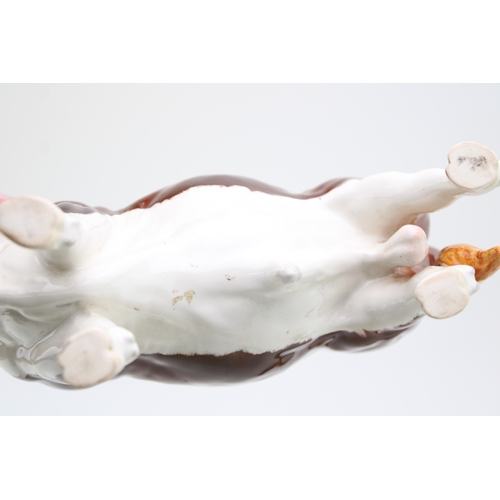 116 - Beswick Polled Hereford bull with a Jersey cow (2).