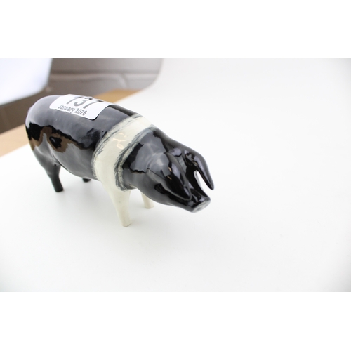 137 - Beswick Saddleback Boar, Fair Acre Viscount.