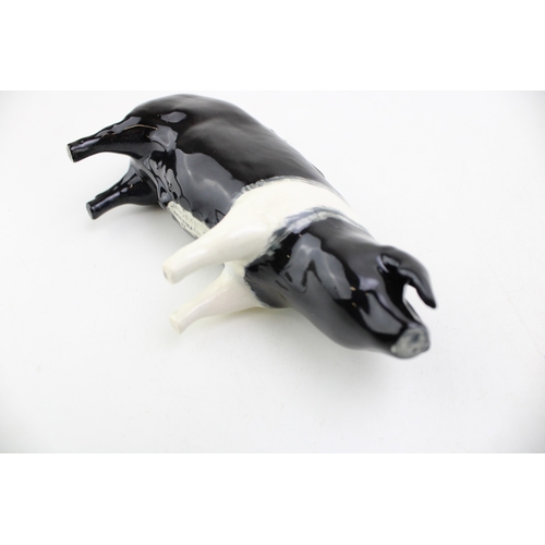 137 - Beswick Saddleback Boar, Fair Acre Viscount.