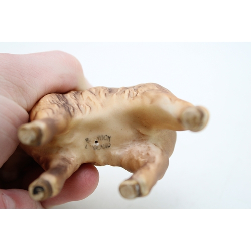 159 - Beswick matt Highland Calf 1827D.