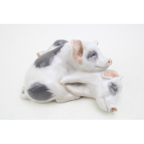 192 - Royal Copenhagen model of two piglets cuddling 683.
